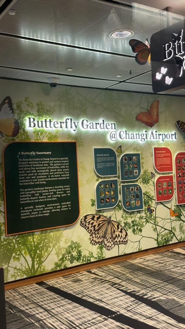 Moments in Singapore - Butterfly Garden