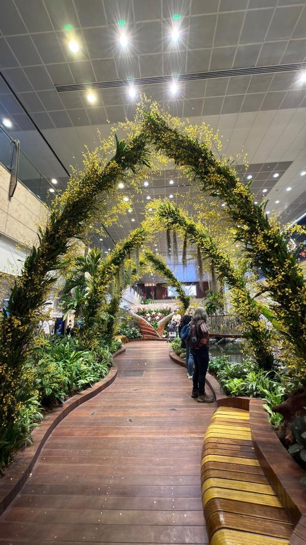 Moments in Singapore - Orchid Walk